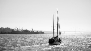 BW Golden Gate Dreaming
