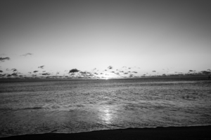 BW Keep it Golden Forever 1 of 4  - A Perspective Photo Series - Sunrise Florida Keys