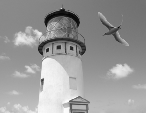 BW Kilauea Lighthouse and Wildlife Refuge on Kauai