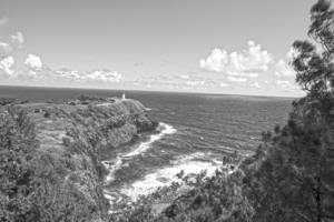 BW Kilauea Lighthouse in Spring on the Island of Kauai Square