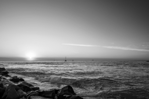 BW Magic Moment 1 of 2   Returning from the Sea    The Sailfish Tournament and Derby Collection Singer Island West Palm Beach Florida