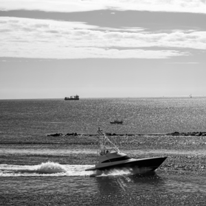 BW Magical Moment SQUARE The Sailfish Tournament and Derby Collection Singer Island West Palm Beach Florida