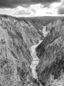 BW Mighty Yellowstone 5 - Grand Canyon of the Yellowstone River - Yellowstone National Park