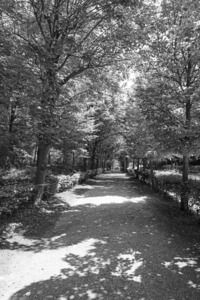 BW One Day at the Palace Gardens Schonbrunn Vienna Austria 4 of 10