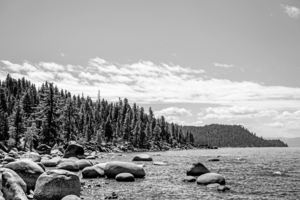 BW Out West 6