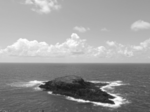 BW Secret Island