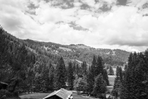 BW Serenity Found in the Alps of Switzerland 1 of 3   HC Stanek   Rare Limited Edition