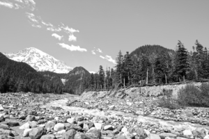 BW Spring Runoff Mount Rainier Pacific Northwest Washington State