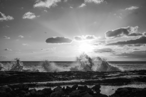 BW Stay Golden Forever Sunset Hawaii