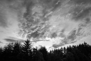 BW Summer Sunset Pacific Northwest United States