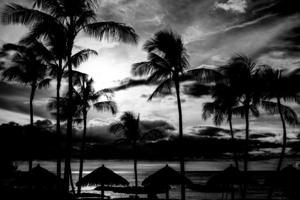 BW Sunset in the Tropics