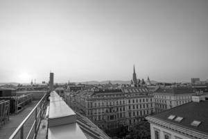 BW The City at Sunset Vienna Austria 2 of 3