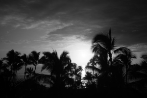 BW The Day Ends