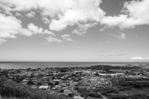 BW View to the Coast with Yellow Trumpet Trees