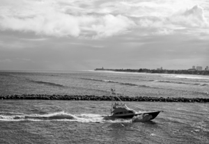BW Waves and Wake ZOOM The Sailfish Tournament and Derby Collection Singer Island West Palm Beach Florida
