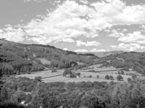 BW Wonderful Wales
