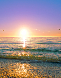 Go Gently Into That Good Night - VERTICAL - Sunset Gulf of Mexico Birds Flying