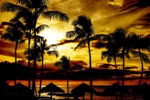 Sunset in the Tropics