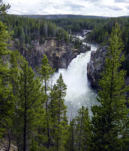 Vintage Upper Yellowstone Falls Wyoming