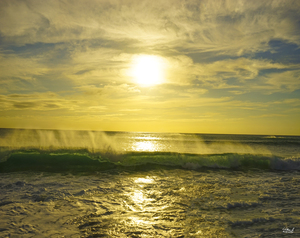 Wild Enough for You - Rare Print with Signature Sunset in Hawaii - Limited Edition 173 of 250 remaining