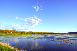 Beautiful Day at the Estuary 1 of 2