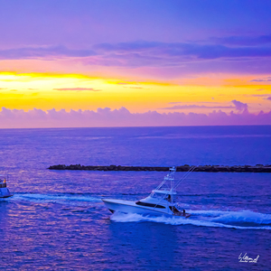 Its a Long Run -  Gold and The Treasure Coast Collection Limited Edition Rare from Original Oil Painting on Canvas William Robert Stanek
