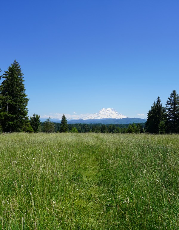 Mount Rainier Pacific Northwest United States Print