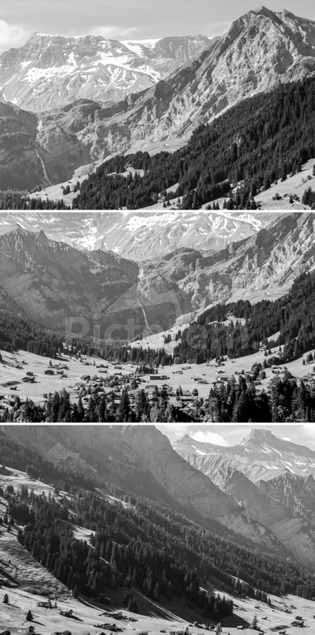 Photos to Canvas