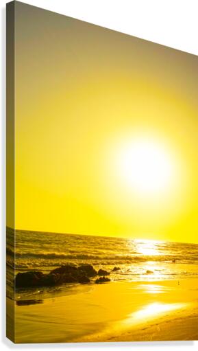 Golden California Sunset Canvas Print