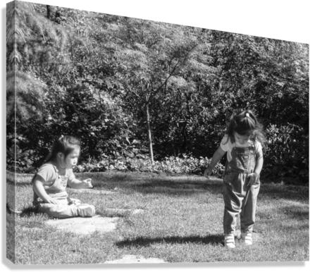 BW   Candid Retrospective 2001   Where Did It Go   HC Stanek   Rare Limited Edition  Canvas Print