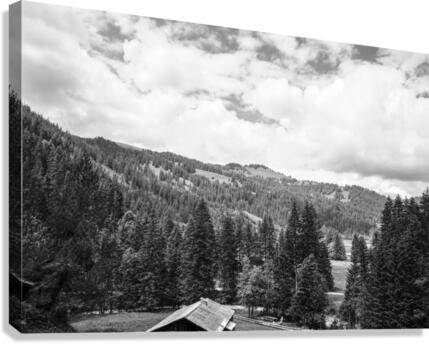 BW Serenity Found in the Alps of Switzerland 1 of 3   HC Stanek   Rare Limited Edition  Canvas Print