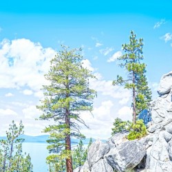 Top of the Mountain California - Photographic Art