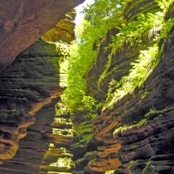 Vintage The Dells of the Wisconsin River 10 of 10   Cambrian Sandstone Rock Formations