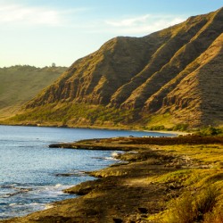 Weekend on the Shores of Oahu