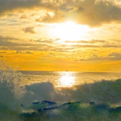 Into the Sunset