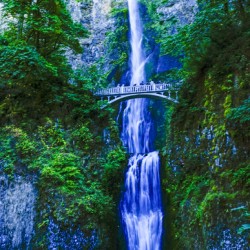 Multnomah Falls in Twilight - Long Exposure   Columbia River Gorge National Scenic Area USA - Waterfall 