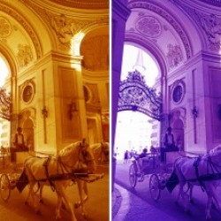 William Robert Staneks Carriage Horses Complete Set in 1 x 4 - Print from Original Photographic Art with Signature