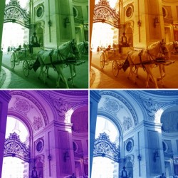 William Robert Staneks Carriage Horses Complete Set in 2x2 - Print from Original Photographic Art with Signature