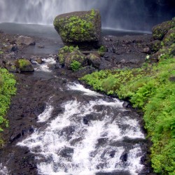 Paradise Found - Waterfall Pacific Northwest USA 
