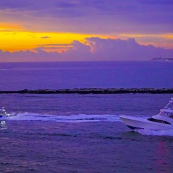 Rockin the Dawn -  The Gold &  Treasure Coast Collection Limited Edition Rare from Original Oil Painting on Canvas  - William Robert Stanek