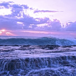 Rush - The Hawaii Sunset Collection Limited Rare Print