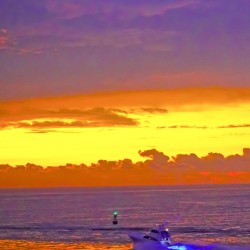 Sunrise Sailfishing -  The Gold & Treasure Coast Collection Limited Edition Rare from Original Oil Painting on Canvas  - William Robert Stanek
