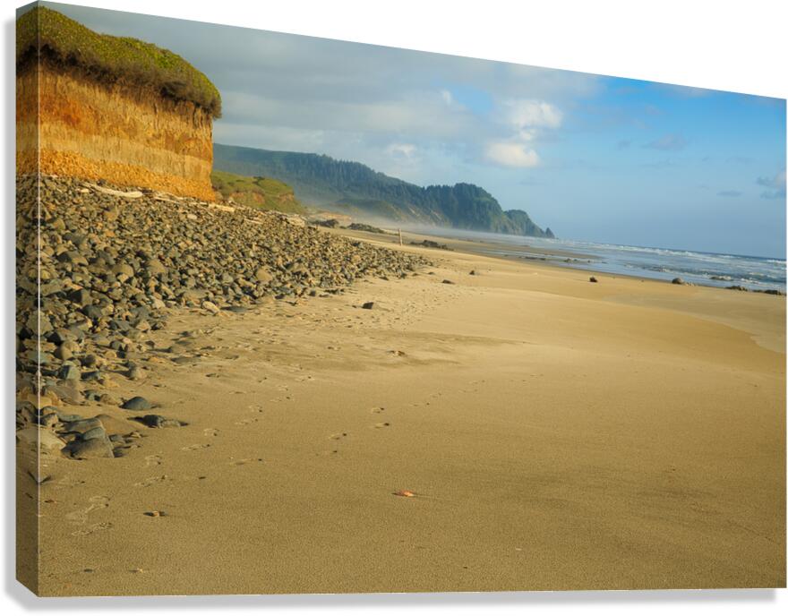 Walk the Oregon Beachscape Canvas Print