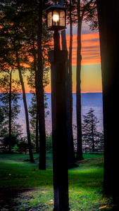 jludwigButterflyjpeg 3   Copy