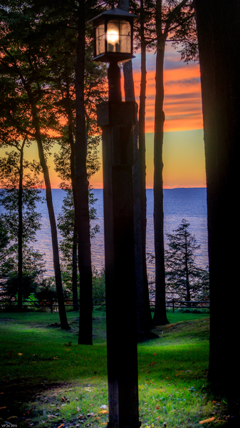 jludwigButterflyjpeg 3   Copy Print