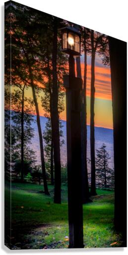 jludwigButterflyjpeg 3   Copy Canvas Print