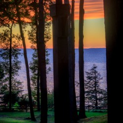 jludwigButterflyjpeg 3   Copy