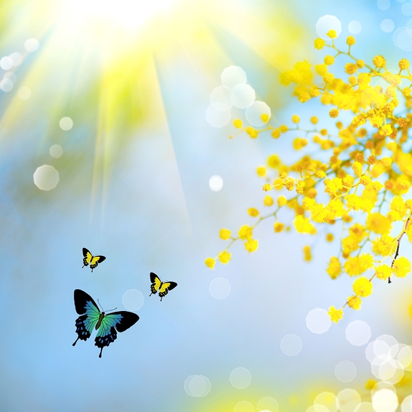 Spring butterfly Print