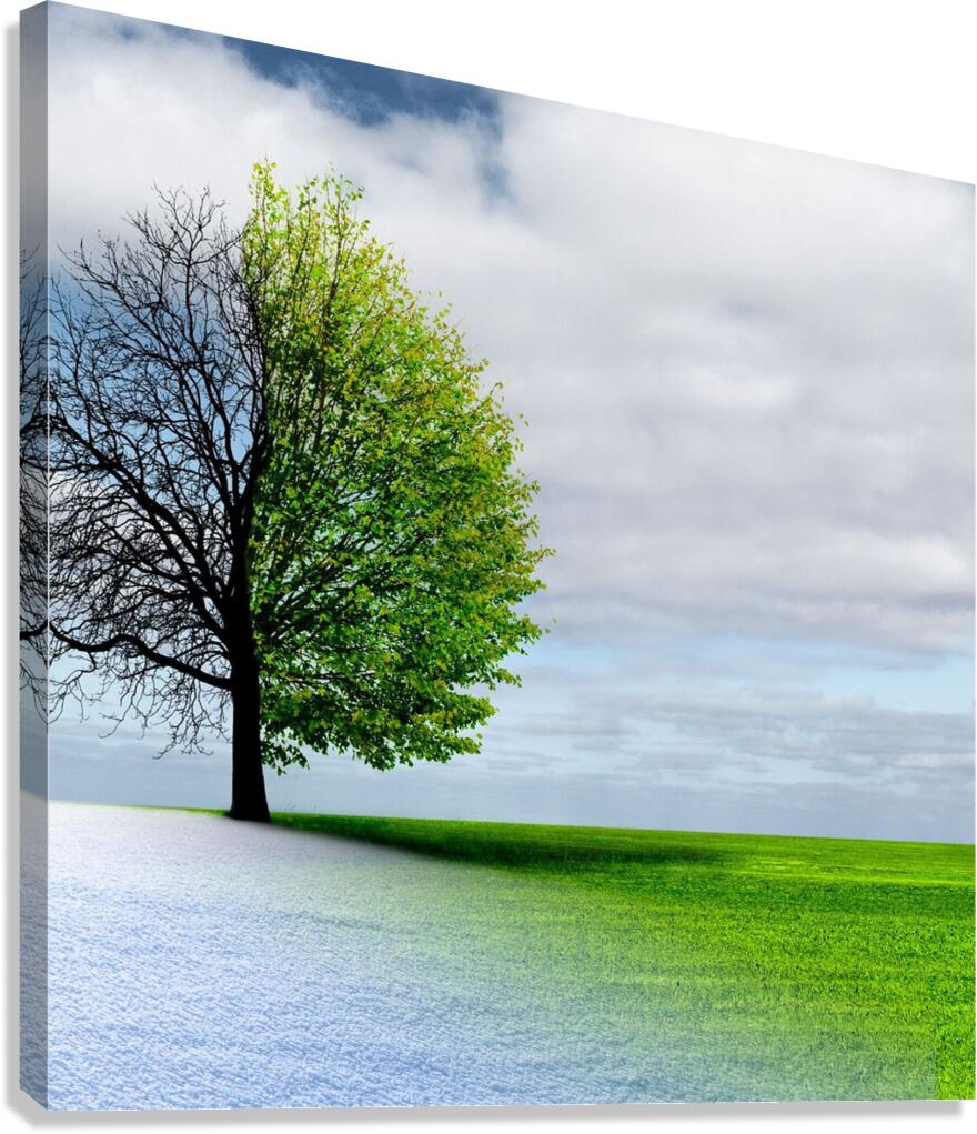 Beautiful sight Canvas Print