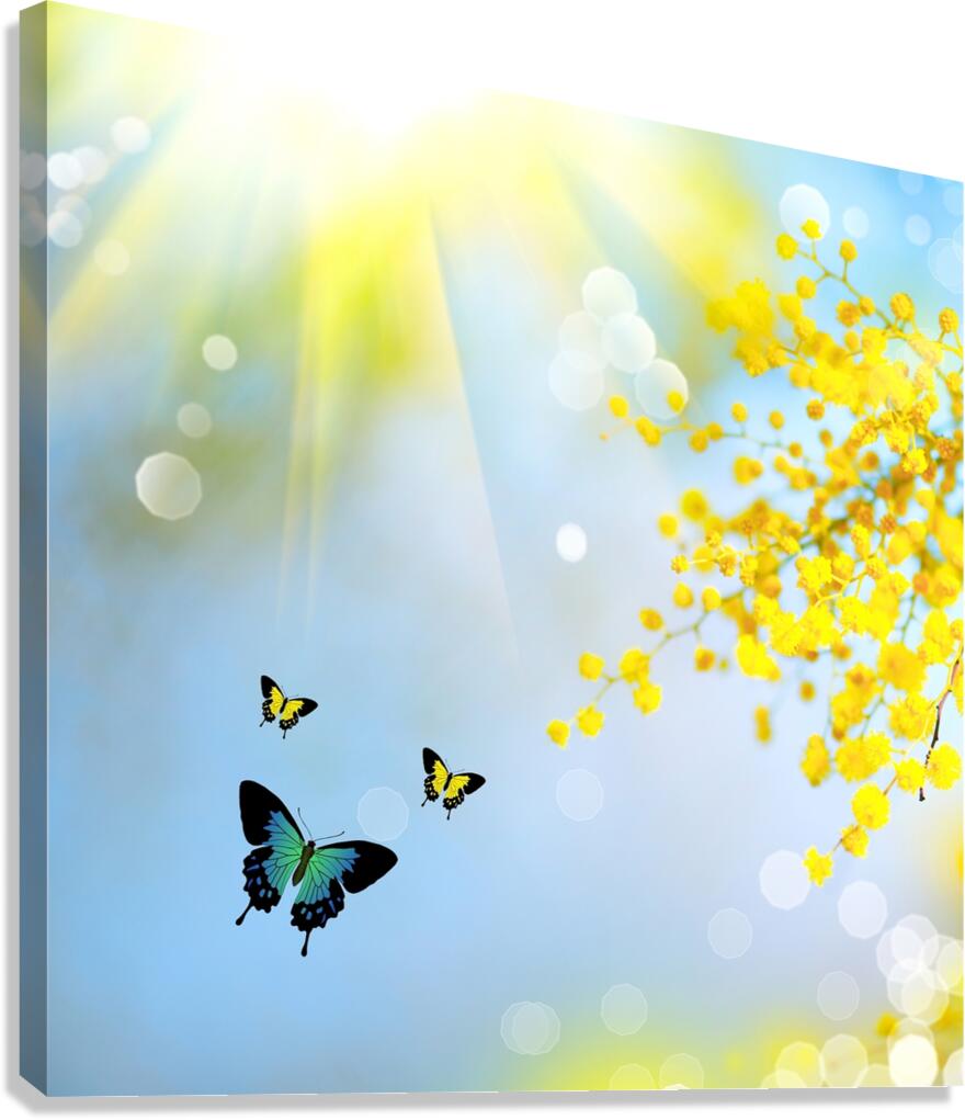 Spring butterfly Canvas Print
